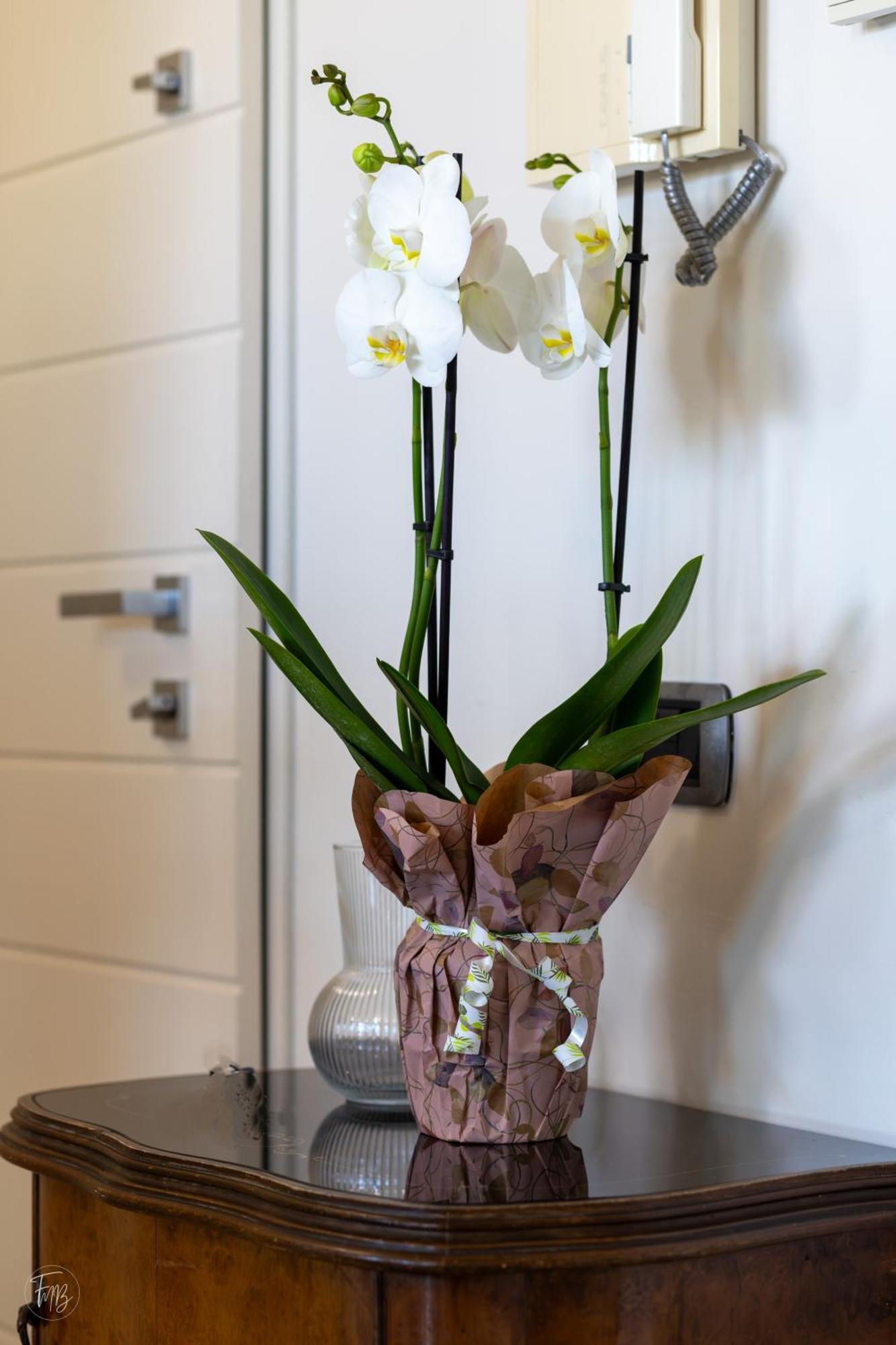 Apartment Santa Gilla